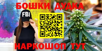 прущие грибы Будённовск